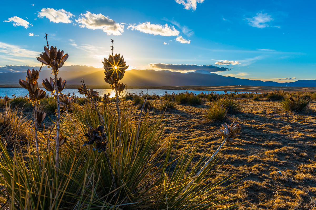 Bluestem Open Space by Matt Payne
