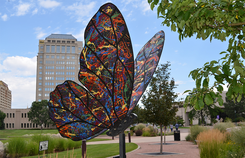 Butterfly Cosmos Serenade