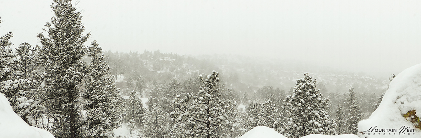 Dave Snyder Winter landscape narrow MWP