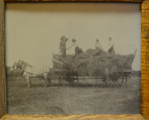 Stewarts Collection Haying Bates Ranch north of Calhan