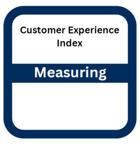 Customer Experience Index Summary Box with Customer Experience Index indicating that is still being measured.